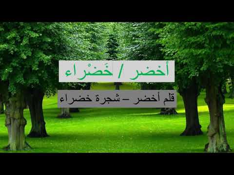 All the Colors in Arabic - الألوان بالعربيّة