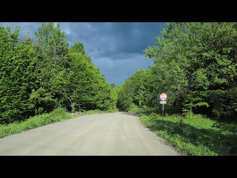 Drum Hunedoara - Lacul Cinciș - Lunca Cernii - Gura Bordului