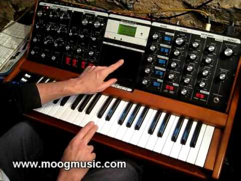Moog - Voyager Touch Surface CV Control of two Moogerfoogers