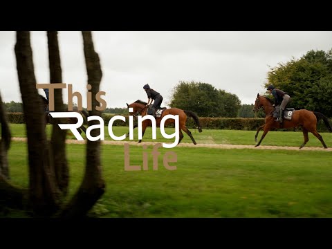 This Racing Life - A visit to Chasemore Stud ahead of sales season | Nicky Henderson | Jack Channon
