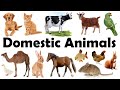 Domestic Animals Name Pet Animals Domestic Animals Name In Hindi To English