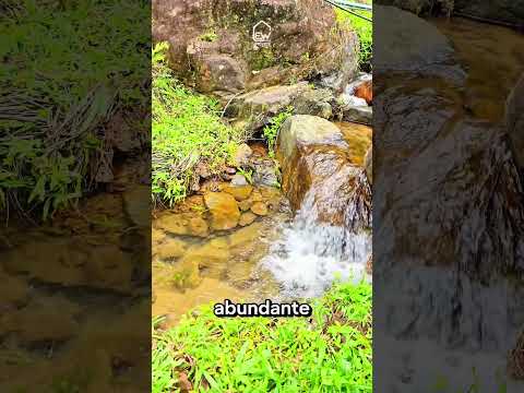 SÍTIO COM 92.800 m² À VENDA NO BAIRRO AMIZADE EM JARAGUÁ DO SUL/SC