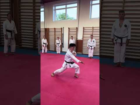 Toyama-Sensei demonstrating sequence from kata kanku-dai #日本空手松涛連盟 #空手道 #kankudai  #karate