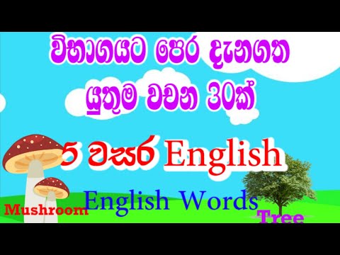 Grade 5 English || 5 wasara English || English words