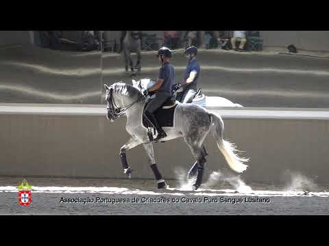 10 Nuno Miranda da Silva com Jairo D´Alem