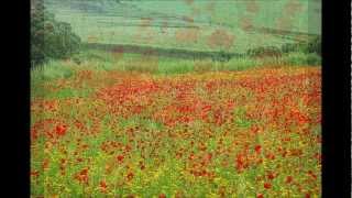 Quero ficar com você - Renato Braz