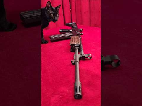 IMI Galil ARM Balashnikov