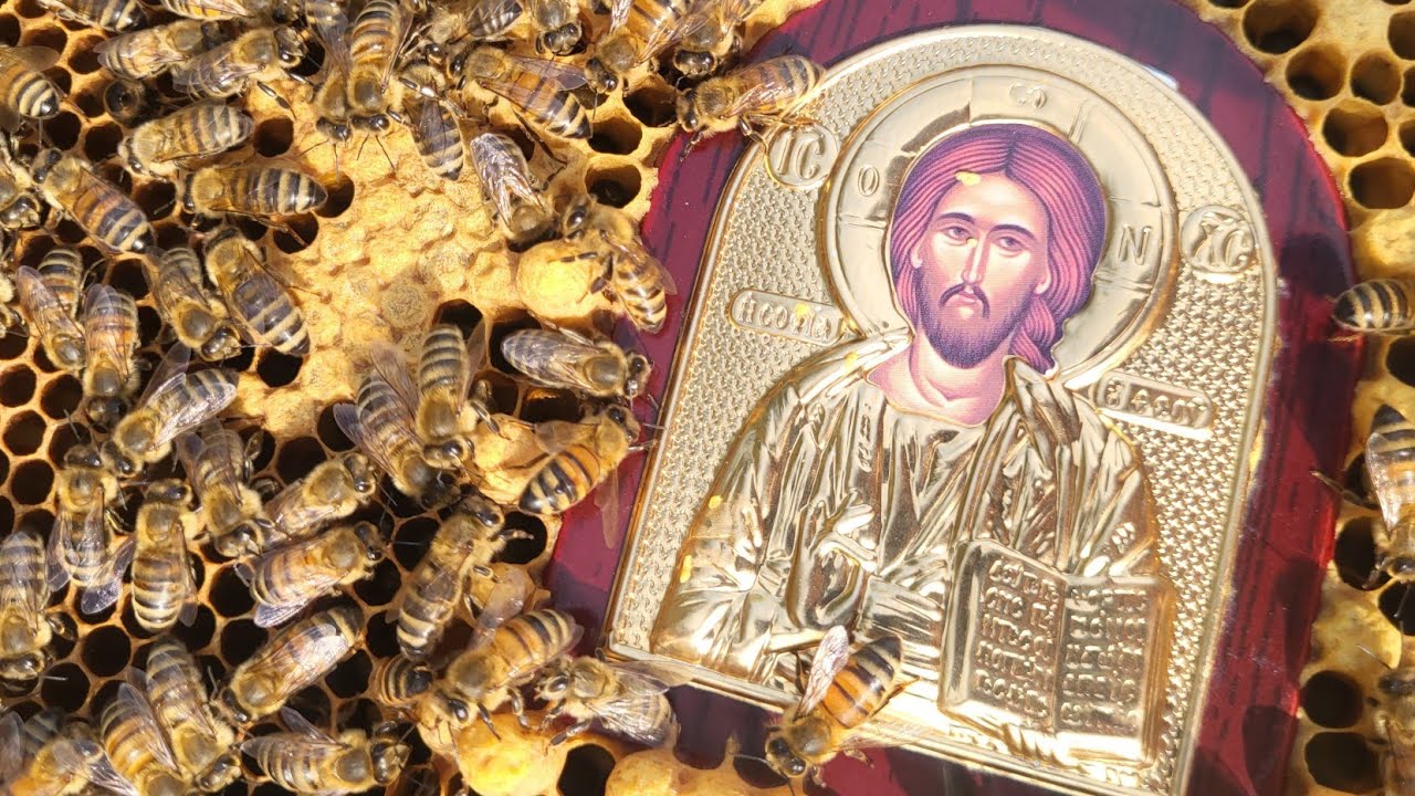 Honey bees and Icons?