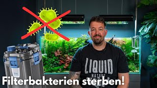 Wie lange überleben Filterbakterien wenn der Filter aus ist?