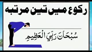 Download lagu 👉 Namaz Padhne Ka Mukammal Tarika | Takbeer Se Salam Tak | Detail Long Video mp3