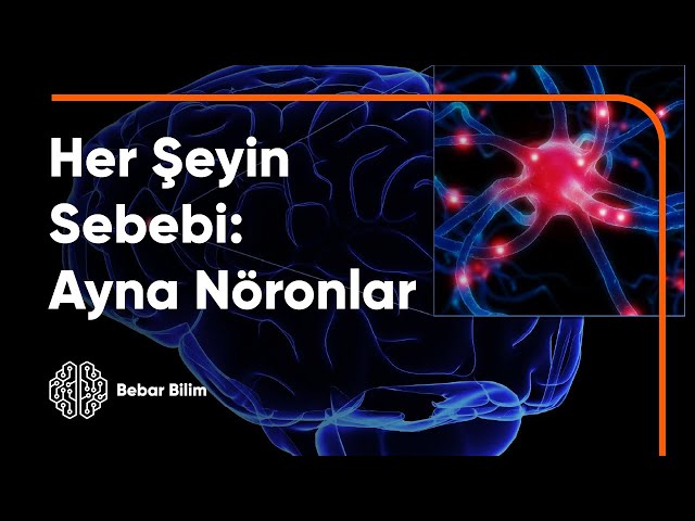 Pronúncia de vídeo de Bilim em Turco