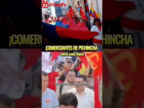 "COMERCIANTES de Pichincha PROTESTAN por el FIN del SUBSIDIO DIÉSEL"