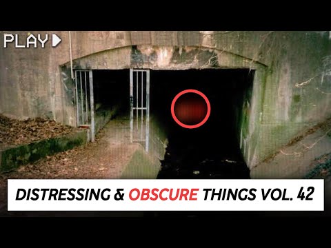 Disturbing Things From our World [Vol. 42]