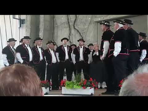 Jodlerklub Edelweiss Triengen - Wermi, Troscht u Liebi schänke