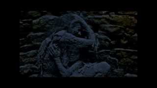 Beyond Twilight - Perfect dark/Interview with a vampire