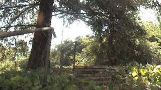 a strong, fragile thing.