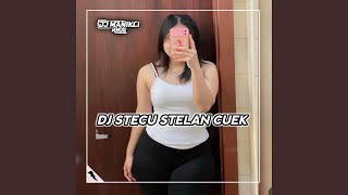 Download lagu DJ KALAU MEMANG COCOK BISA DATANG KERUMAH - STECU STELAN CUEK mp3