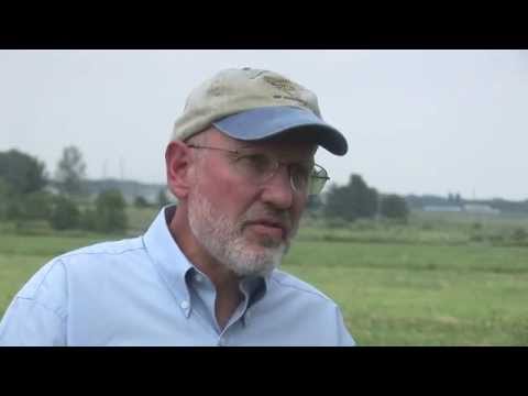 Iowa State Professor: How Biotech Crops Improve Biodiversity