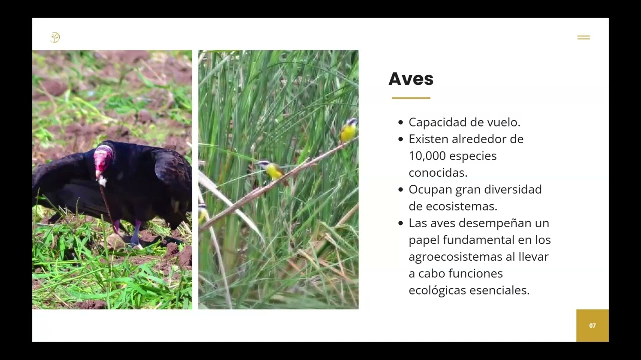 Biomarcadores de toxicidad por plaguicidas en aves