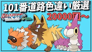 色違いで図鑑完成の旅 101番道路 20000回～【ポケモンルビサファ】
