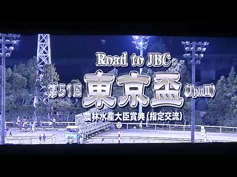 東京盃 ファンファーレ  (個人撮影)  2017年10月4日(水) 大井競馬場