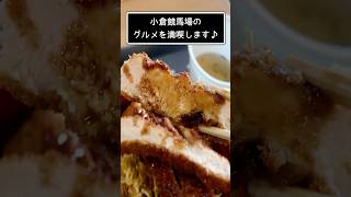 小倉競馬場のグルメを満喫します♪ #shorts