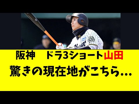 【阪神】ドラ3ショート・山田脩也の最新の状況がこちら