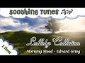 1 Hour of music to put your baby to sleep ♫♫ Music Box lullaby ♫ Edvard Grieg : Morning Mood ♫