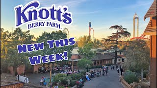 Peanuts Celebration, Calico River Rapids & More | Knott’s Berry Farm Update (2019)