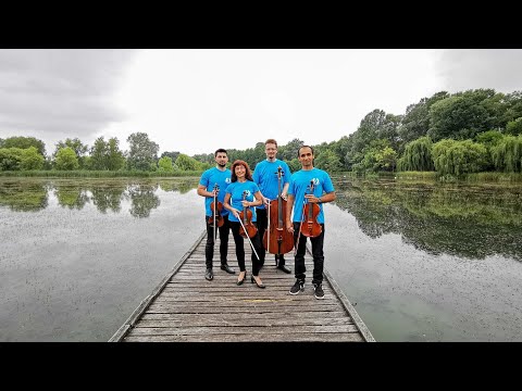 Rózsavölgyi Márk:  Első magyar társastánc