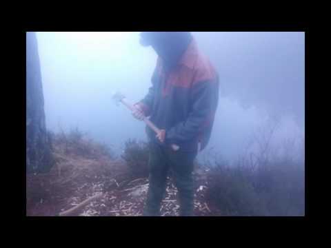 En Gammal Hjärtumsyxa