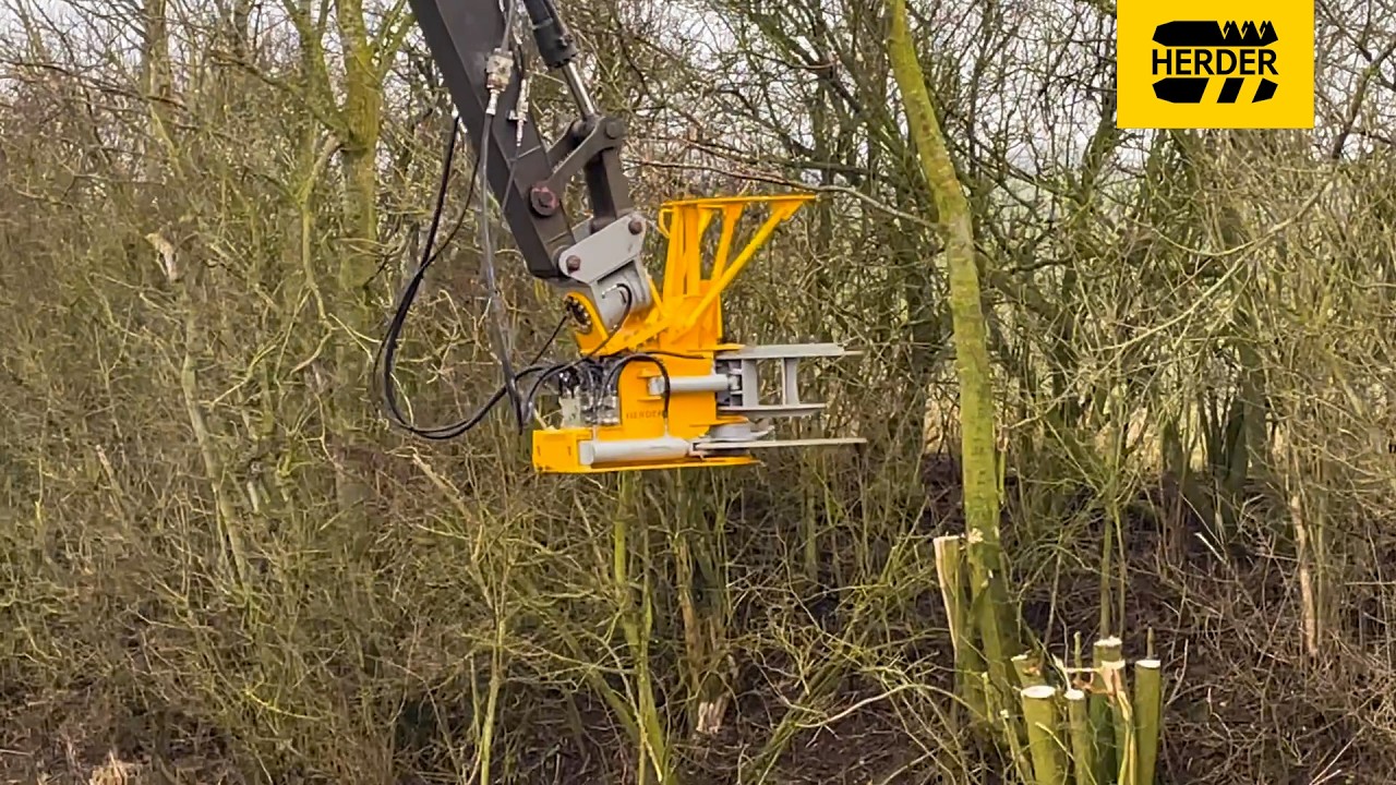 Tree shear in action – Efficient cutting for heavy-duty vegetation