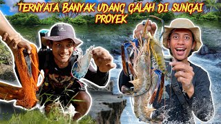 Download lagu 2 KALI PINDAH UNTUK BERBURU UDANG GALAH BABON CAPIT BIRU DI SUNGAI mp3