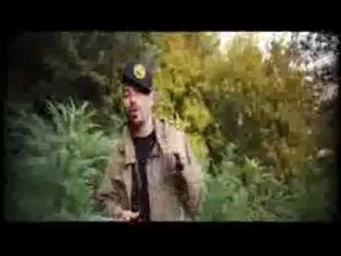 Crame 1 Gramme -Taipan - clip officiel.