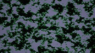 Cover art for condescending