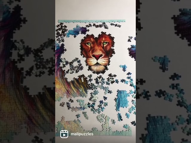 Vídeo relacionado con Tigre León Puzzle de 1000 Piezas Papel Puzzle para Adultos Escena de Confrontación Relajación Familia 52x38cm/1000pcs