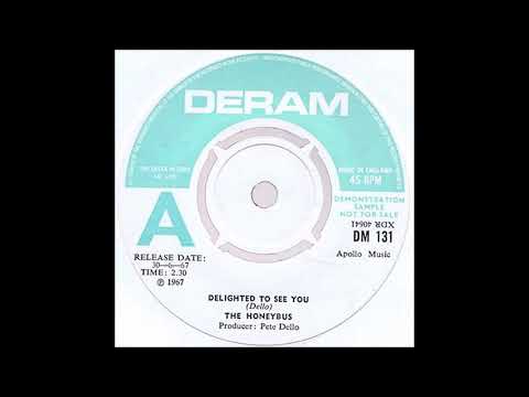 The Honeybus - Delighted To See You