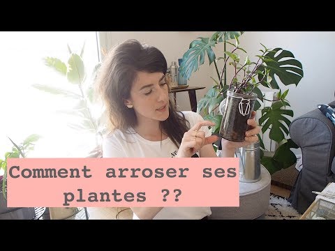 , title : 'Arrosage Plantes d'intérieur : Quand & Comment les arroser ?!'