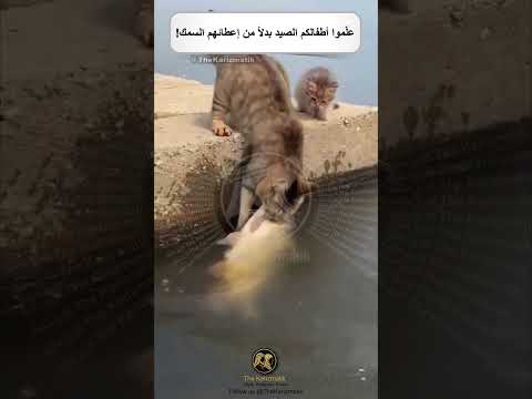 علّموا أطفالكم الصيد بدلاً من إعطائهم السمك!!!