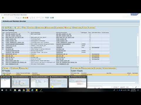 SAP + oData debugging + Nullable