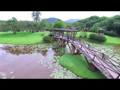 Jardim Botânico de Timbó: natureza, lazer e turismo no Vale Europeu