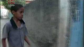 Carlinhos Brown - Carlito marrón -