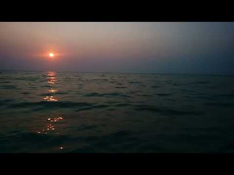 ٨ أغسطس، ٢٠٢٠