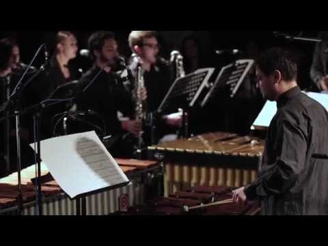 Steve Reich. Music for 18 musicians - Armonia Ludus