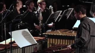 Steve Reich. Music for 18 musicians - Armonia Ludus