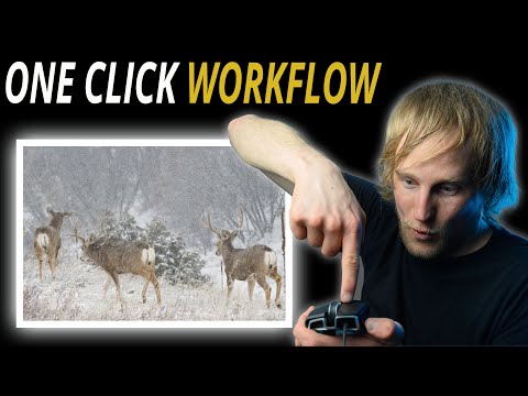 Make your photos POP with ONE CLICK using DARKTABLE STYLES