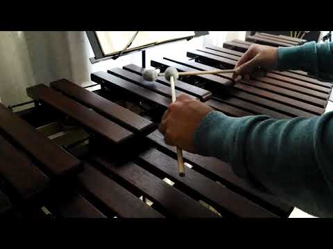 Inni di lode N°45: Fá, o mio Signor Marimba Cover