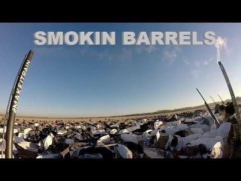 Our Barrel's Were Smokin On This Hunt!! (20 Bird Day)