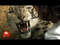 Kraven The Hunter 2024 Kraven Wrestles A Leopard Scene Movieclips