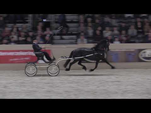 Horses2Fly KFPS sportcompetitie winnaar 2019-2020 merries